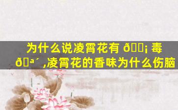 为什么说凌霄花有 🐡 毒 🪴 ,凌霄花的香味为什么伤脑